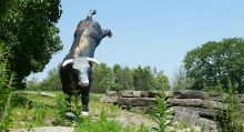 Historical Bull Statue